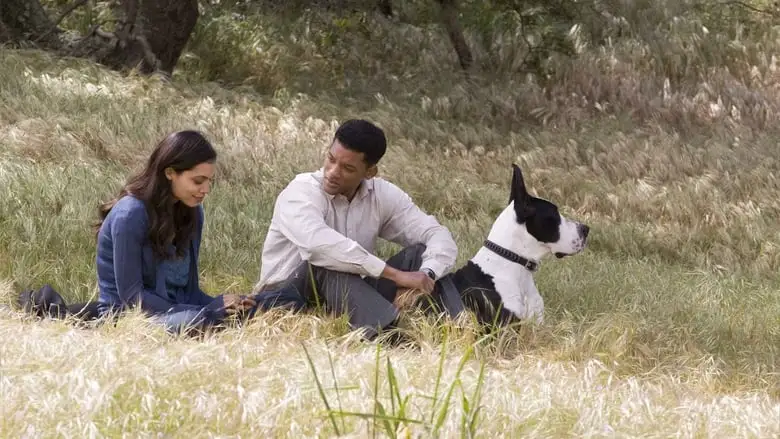 Seven Pounds (2008)