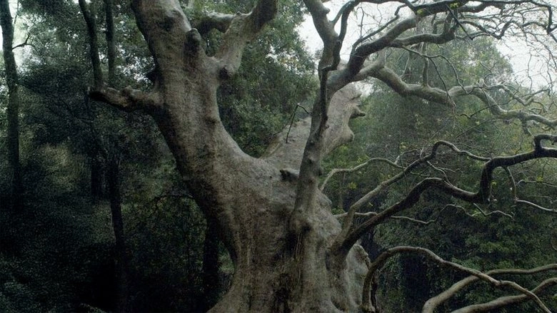 Nuovo Cinema Paralitico (2020)