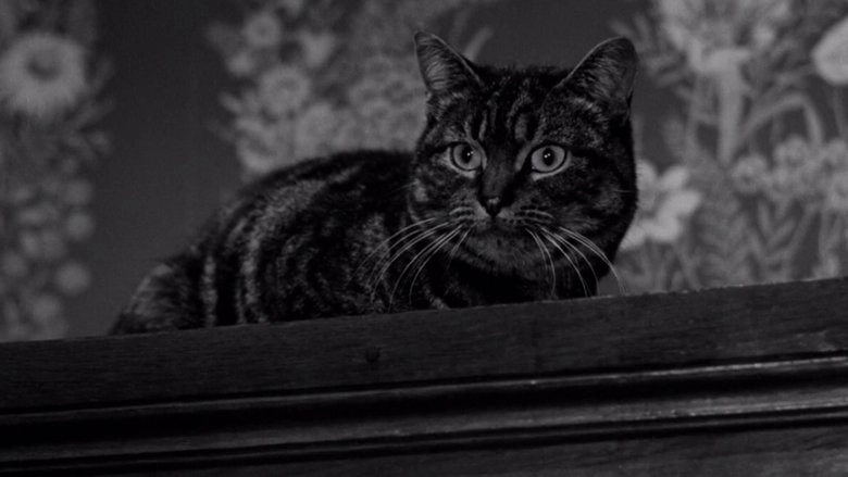 The Shadow Of The Cat (1961)