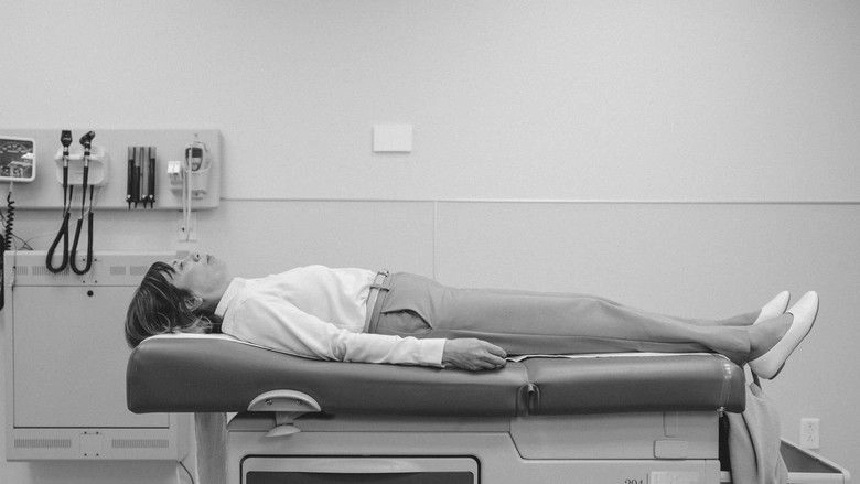 Standardized Patient Program (2022)