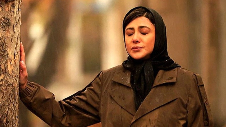Sima's Unfinished Narration (2026)