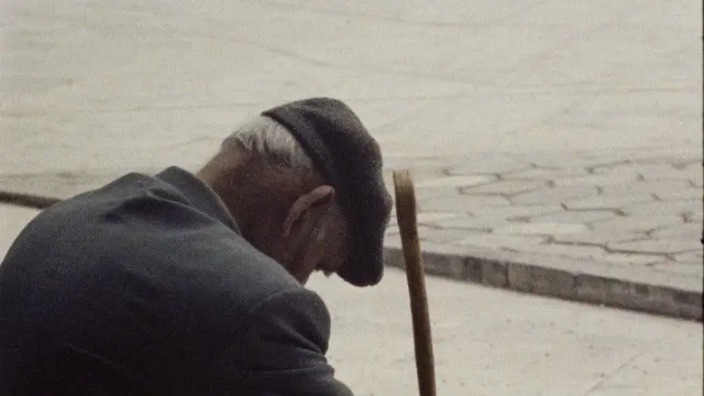 Among The Eucalyptuses (2017)