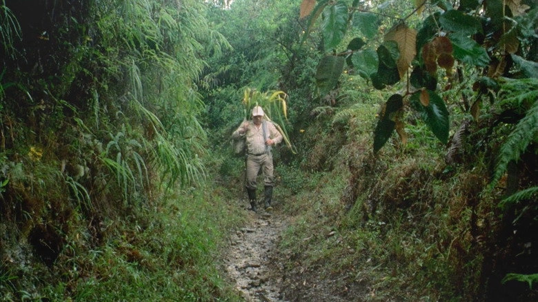 Baudilio (2019)