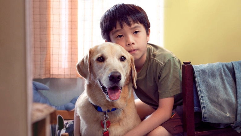 My Dog Dou Dou (2012)