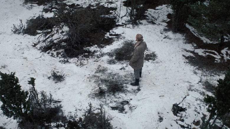 The Passion Of Anna (1969)