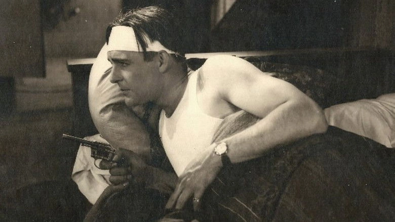 The Love Burglar (1919)