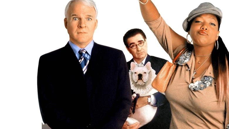 Bringing Down The House (2003)