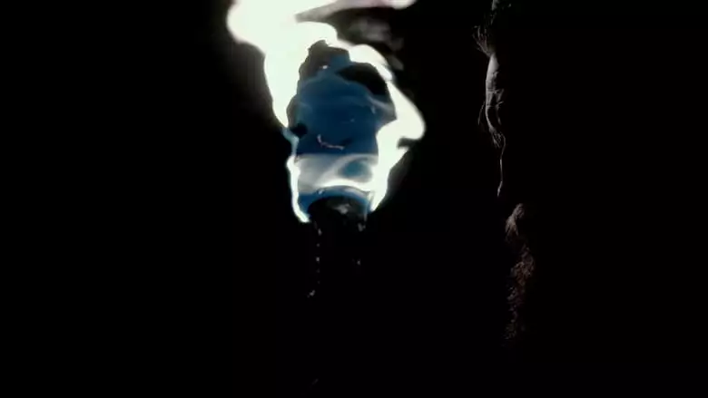 Shadows Of Light (2020)
