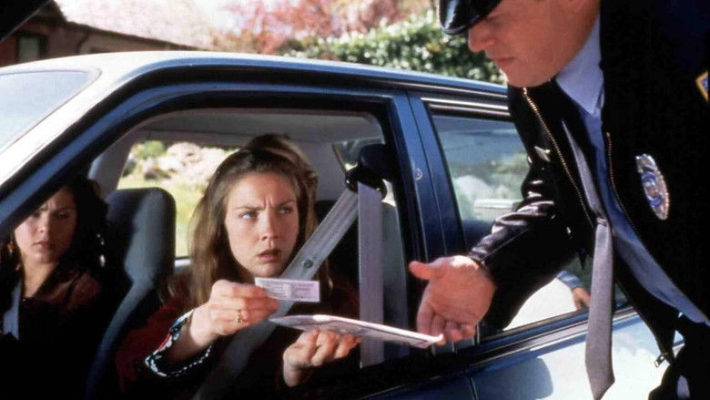 The Accident: A Moment of Truth Movie (1997)