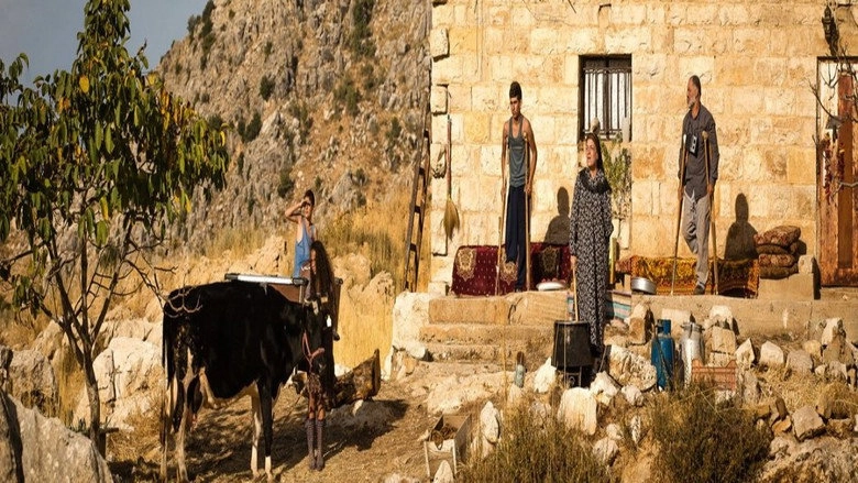 Free Range (2014)