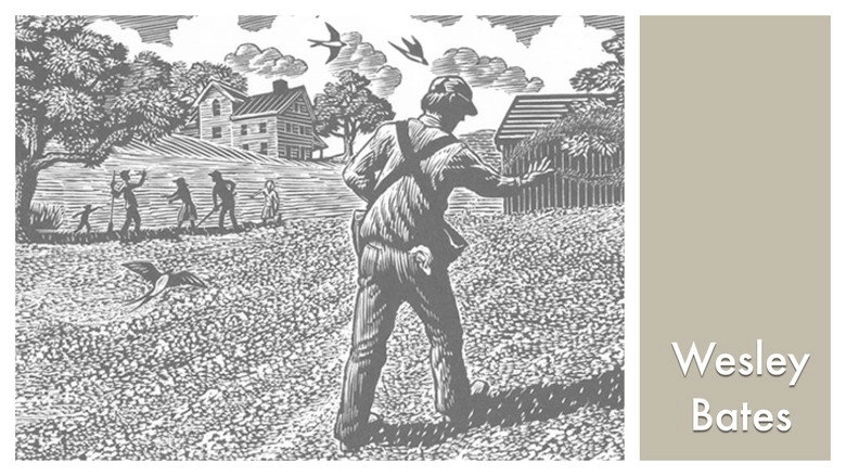 LOOK & SEE: Wesley W. Bates - Wood Engraver (2017)