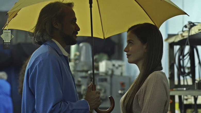 The Face (2013)