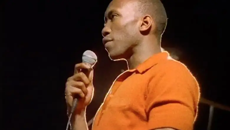 Taste The Revolution (2003)