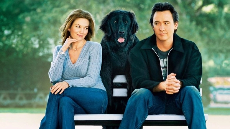 Must Love Dogs (2005)
