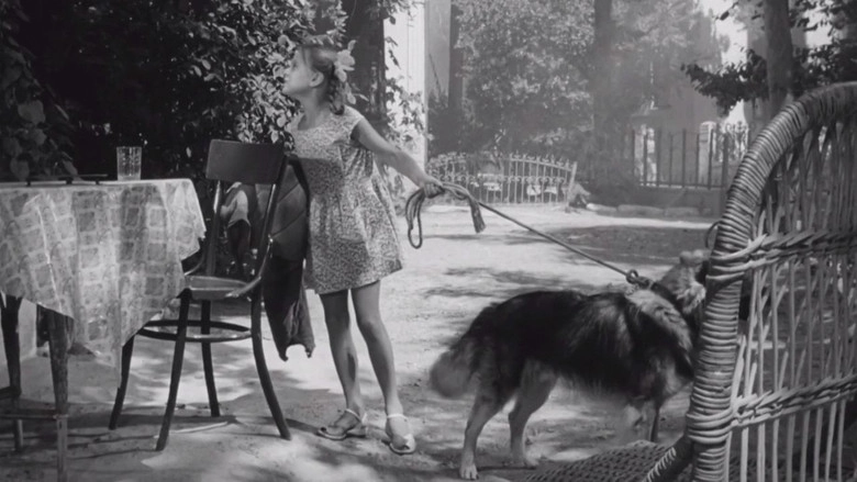 Dressirovshchiki (1961)