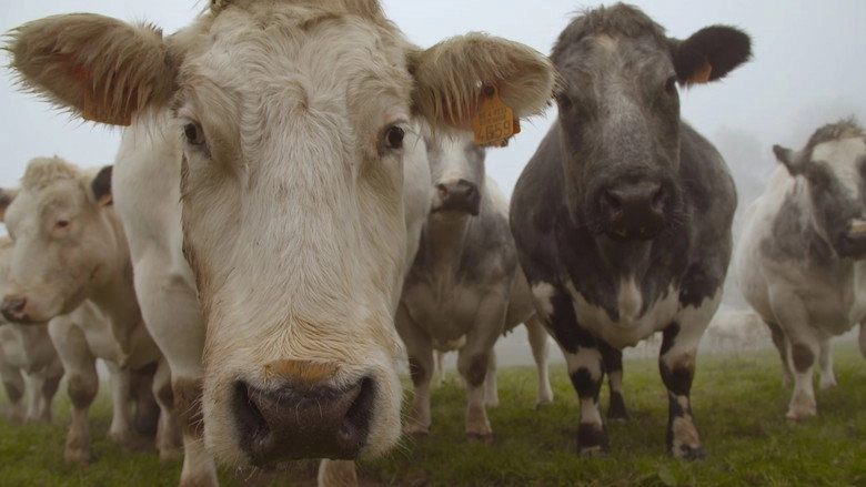 Et L'homme Crea La Vache (2016)