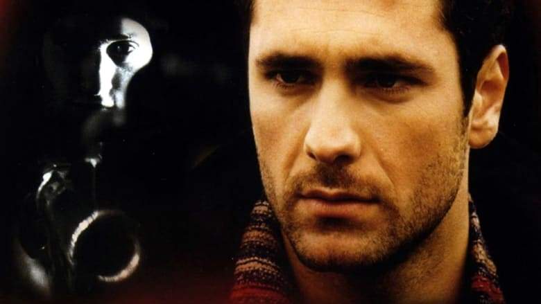 Il Testimone (2001)
