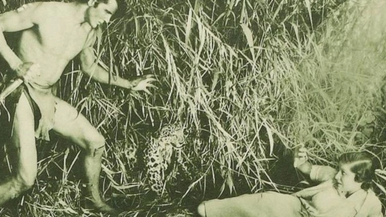 The New Adventures Of Tarzan (1935)