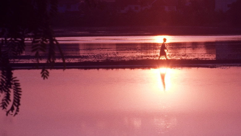 A Man And The Child (2024)
