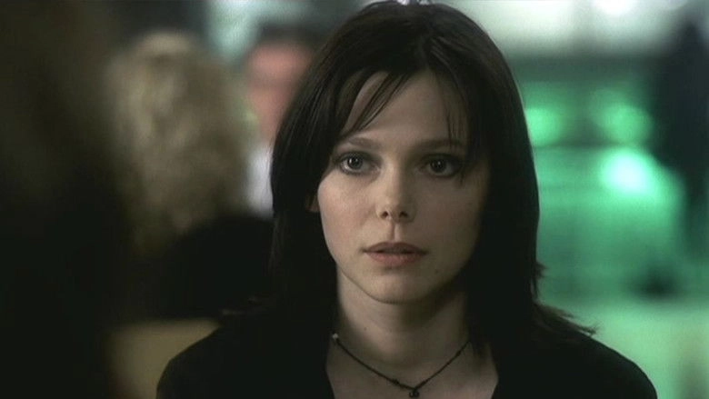 The Spectator (2004)