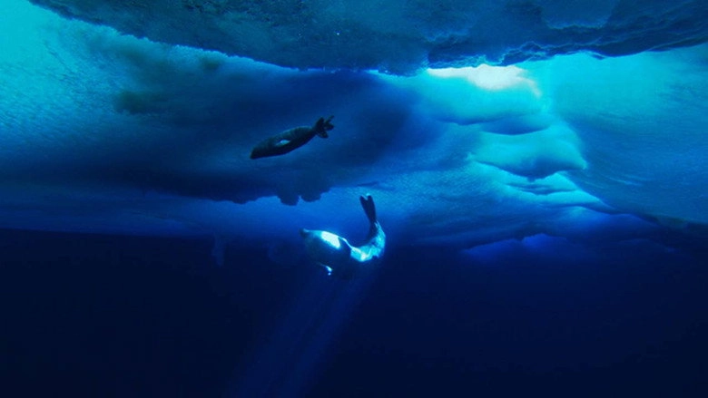 The Last Ocean (2012)