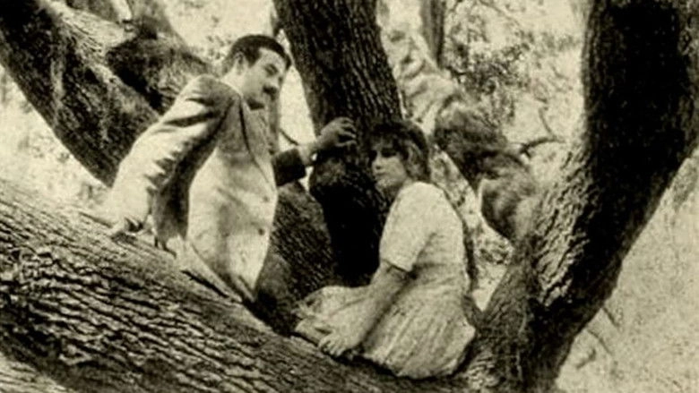 The Girl Of The Grove (1912)