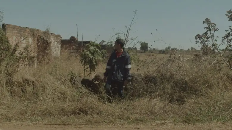 Desde Dentro (2019)