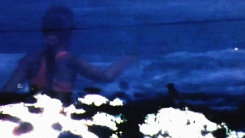 Floating Under A Honey Tree (1998)