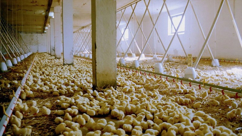 We Feed The World (2005)