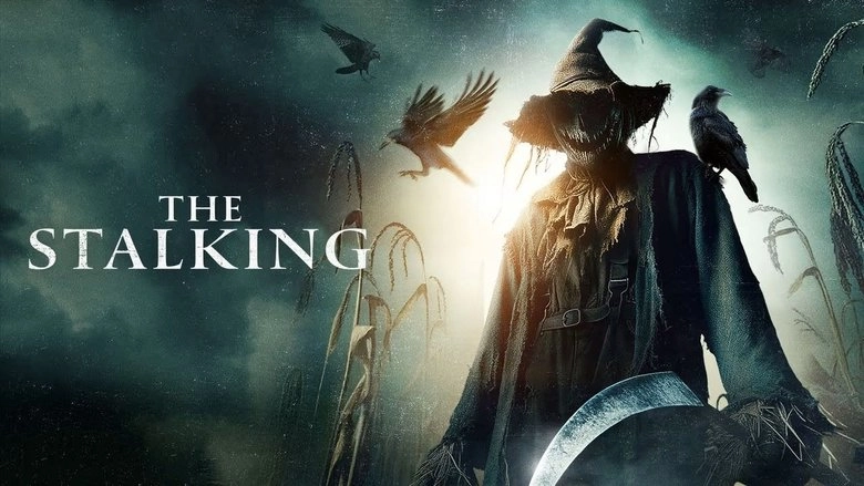 The Stalking (2024)