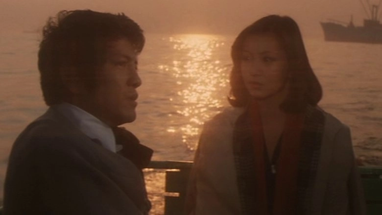 The Visitor In The Eye (1977)