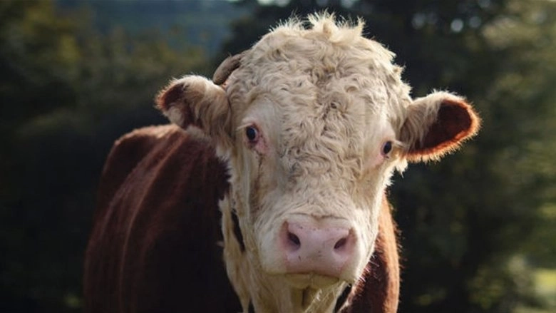 Little Berlin (2020)