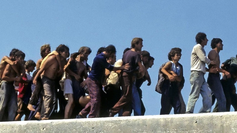 The Human Cargo (2012)