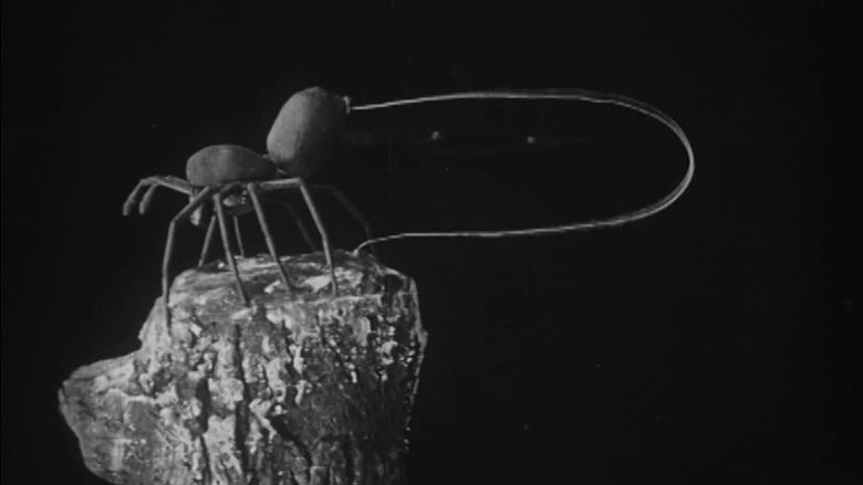 Urban Science: To Demonstrate How Spiders Fly (1909)