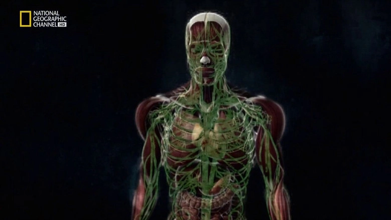 High On Alcohol (2012)