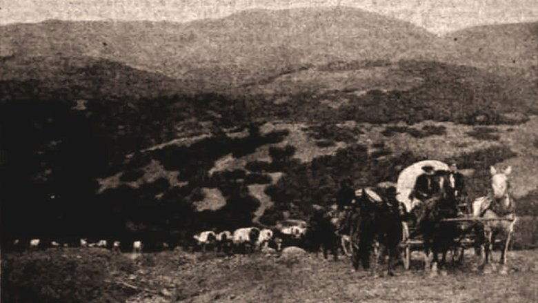 One Hundred Years Of Mormonism (1913)