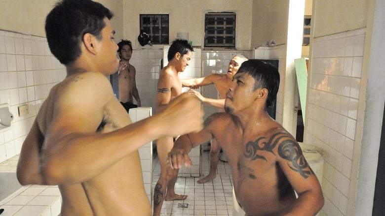 Brothers In Law (2009)