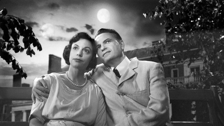 Le Systeme De Ponzi (2014)