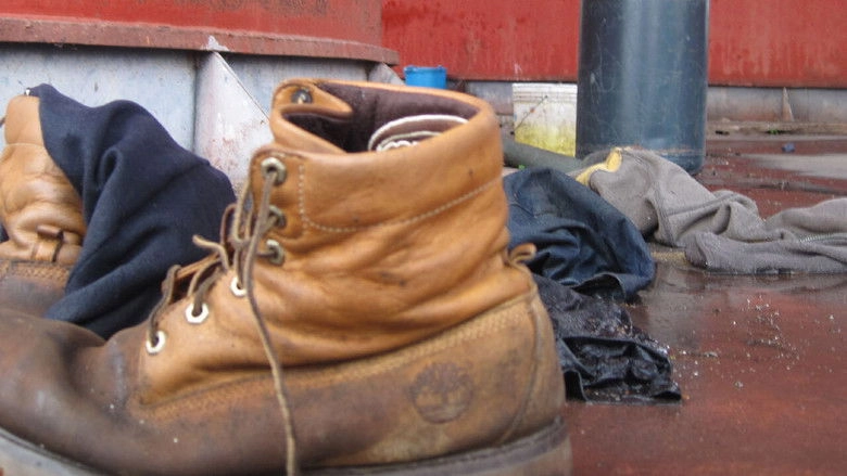 Il Sangue Verde (2010)