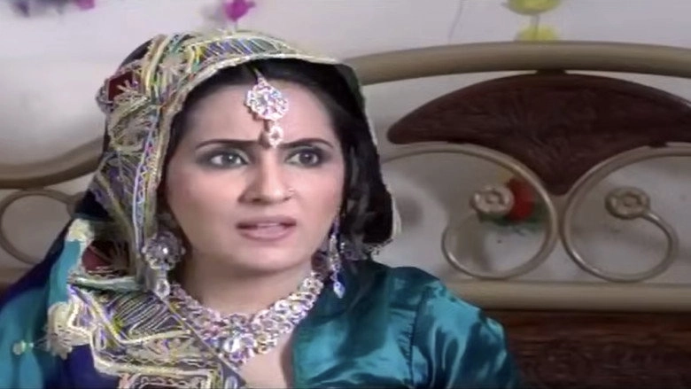 Dilli Walay Dularay Babu (2013)