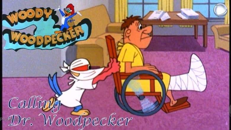 Calling Dr. Woodpecker (1962)