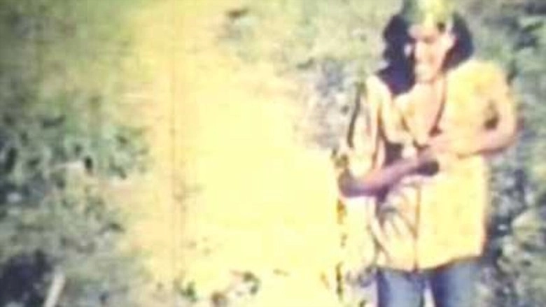 Torquato Imagem Da Incompletude (2020)