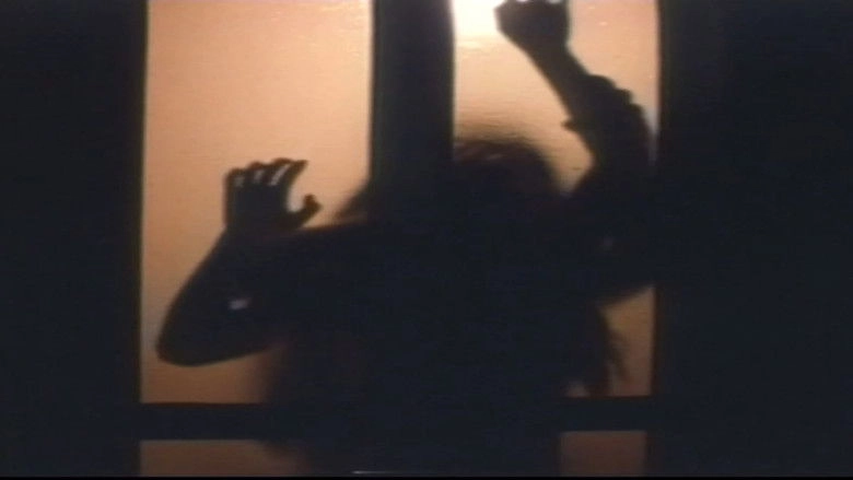 Aquarium City (1996)