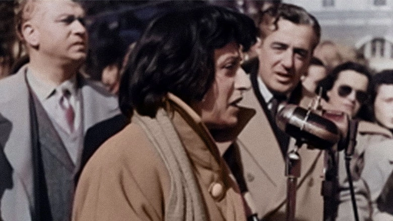 Noi C'eravamo (2011)