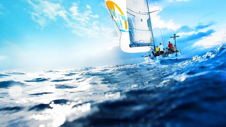 Morning Light (2008)