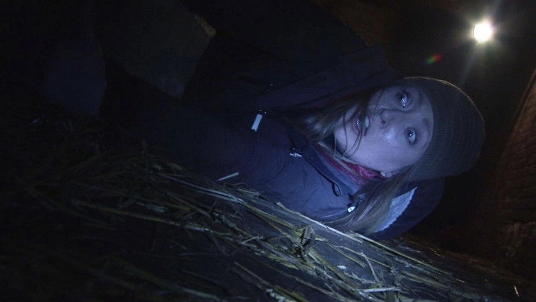 The Legend Of The 5ive (2013)