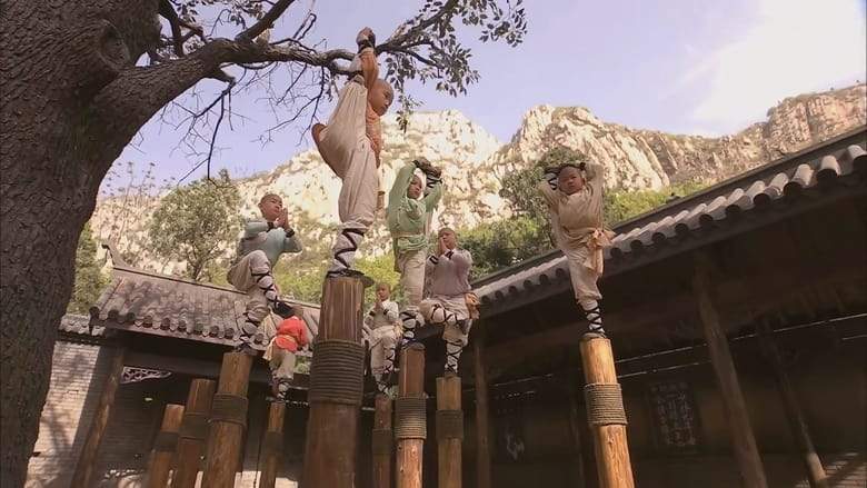 Seven Arhat (2010)
