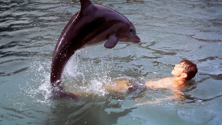 Flipper's New Adventure (1964)