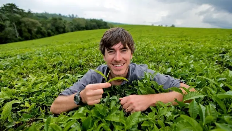 This World: The Tea Trail With Simon Reeve (2014)