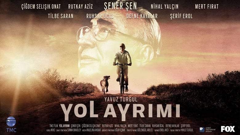 Yol Ayrimi (2017)